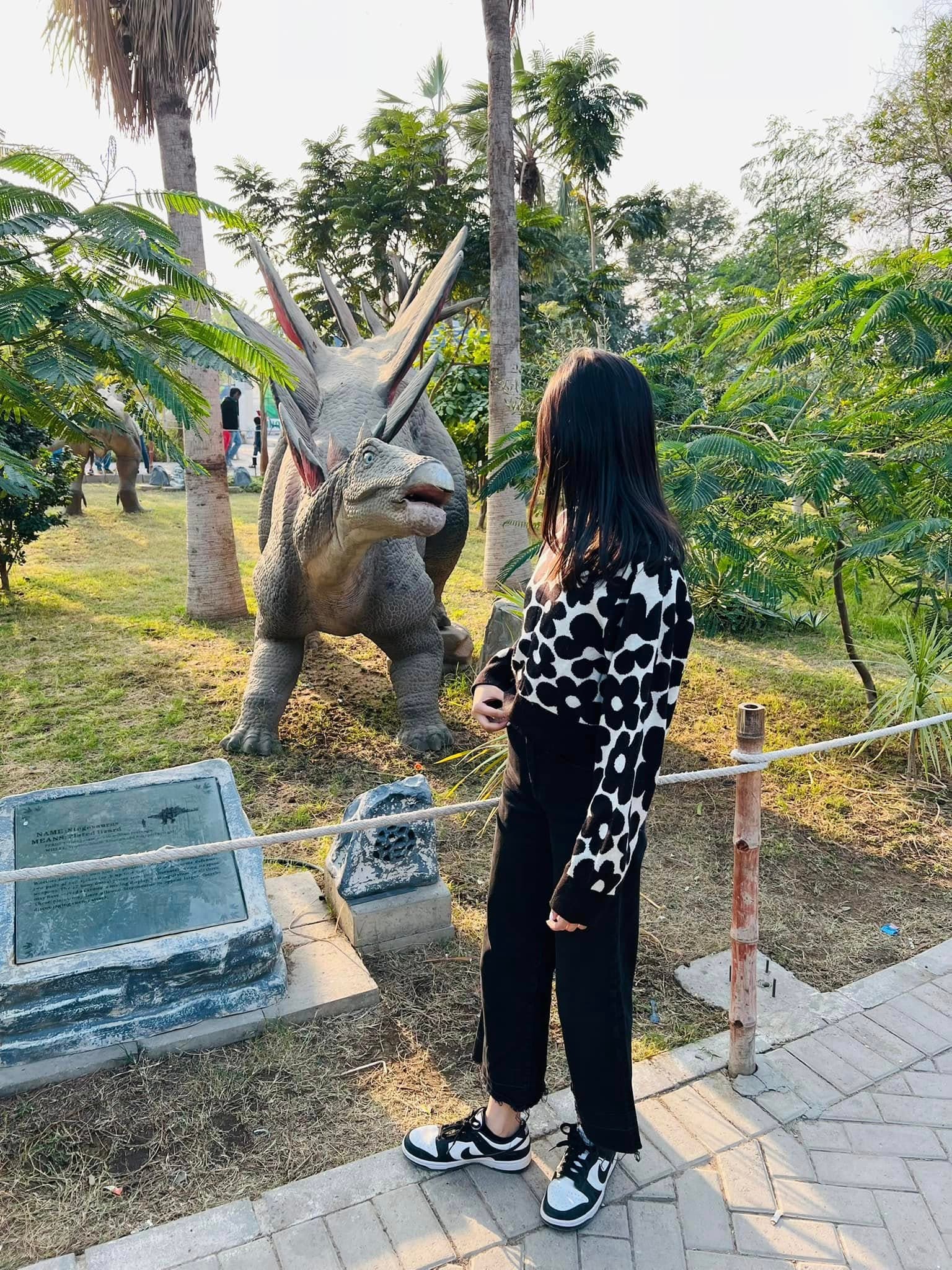 Dino Safari Experience 1