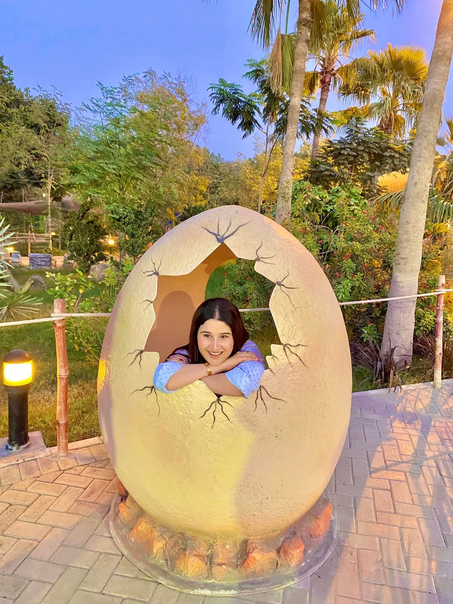 Dino Safari Experience 10