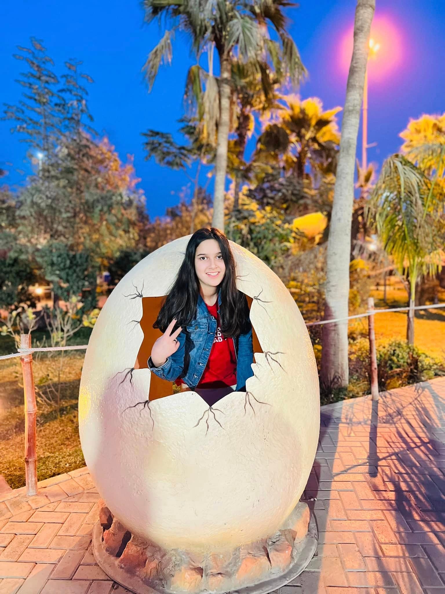 Dino Safari Experience 12