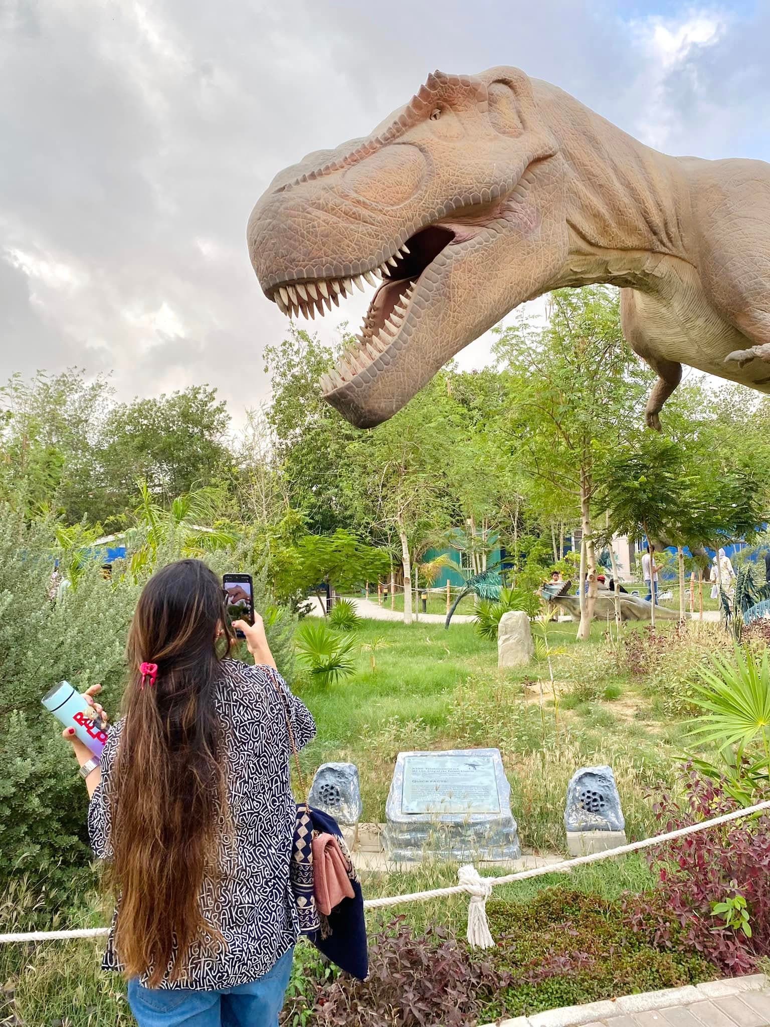 Dino Safari Experience 13