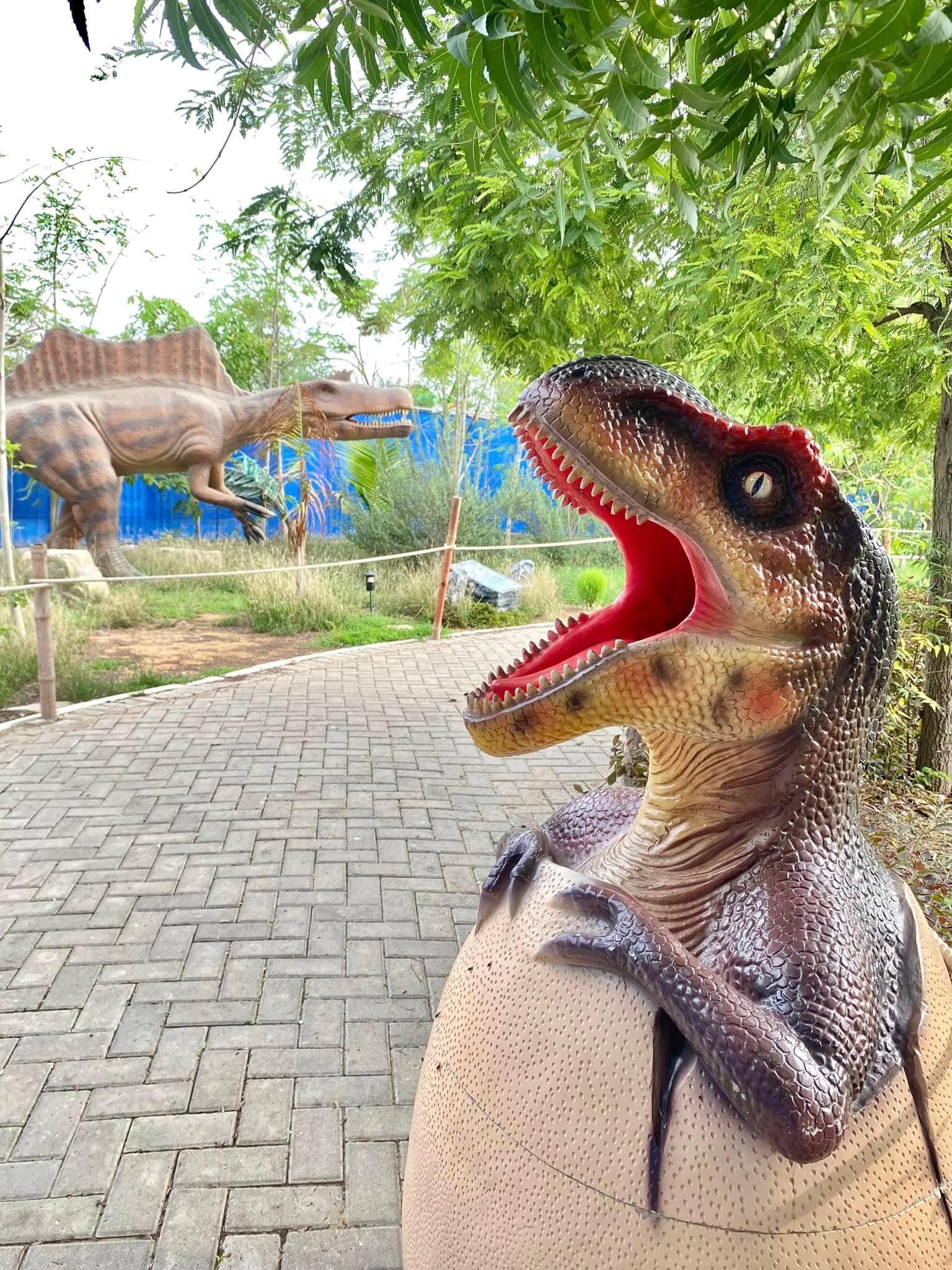 Dino Safari Experience 16