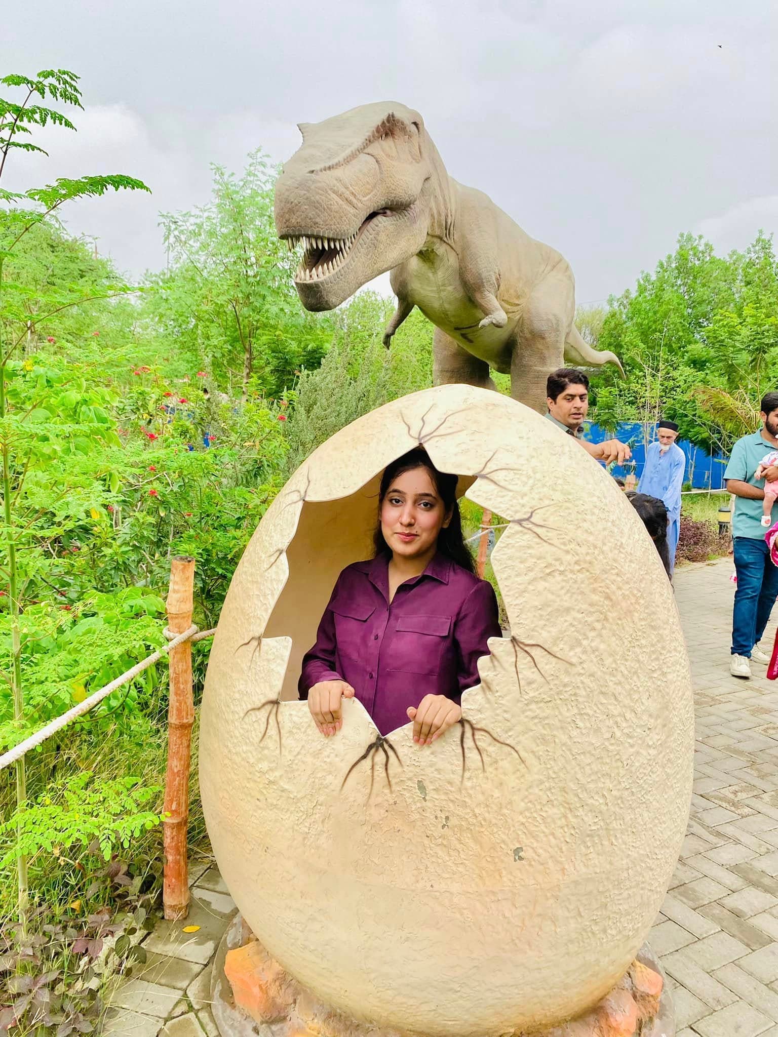 Dino Safari Experience 18