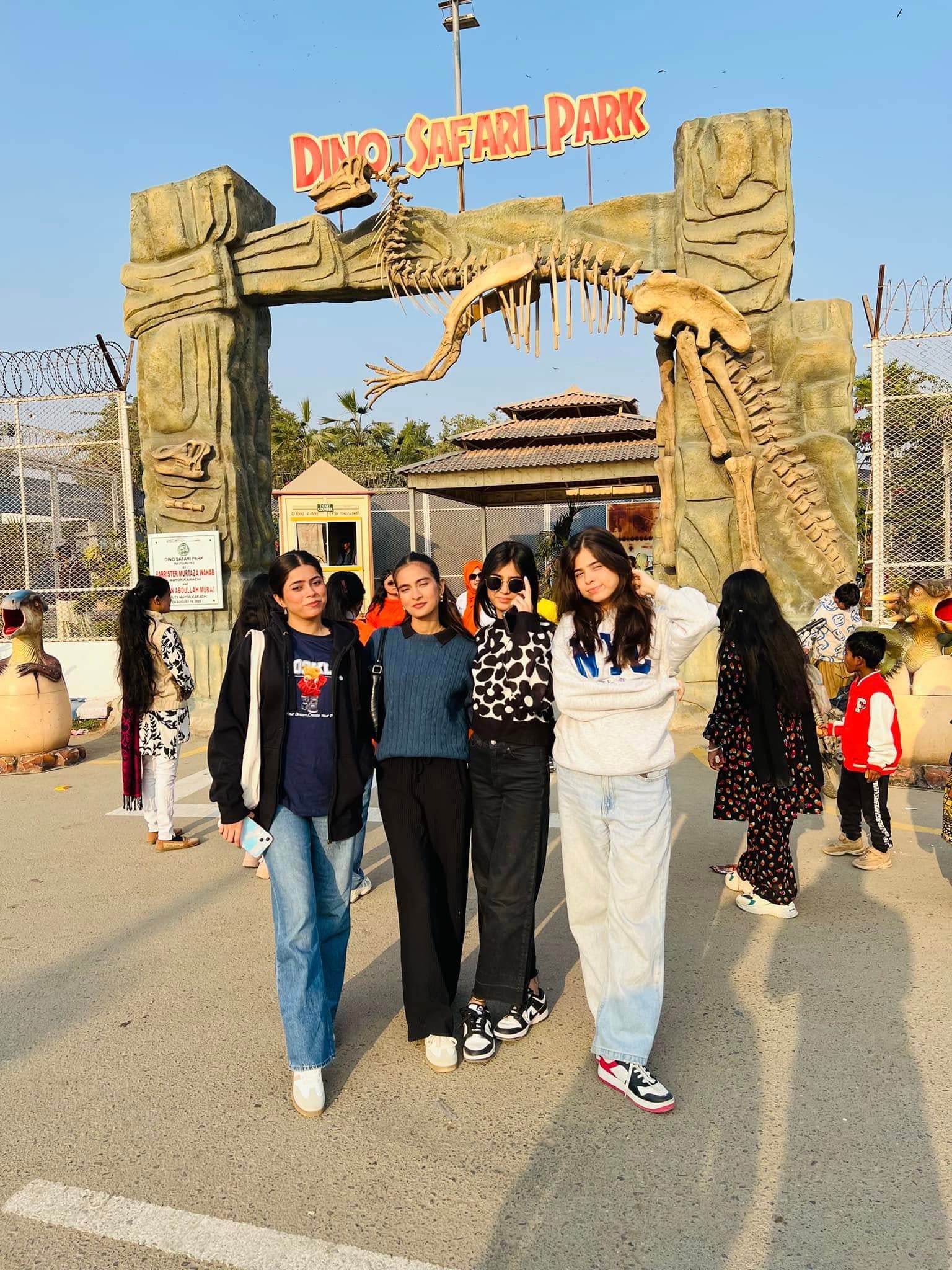 Dino Safari Experience 20