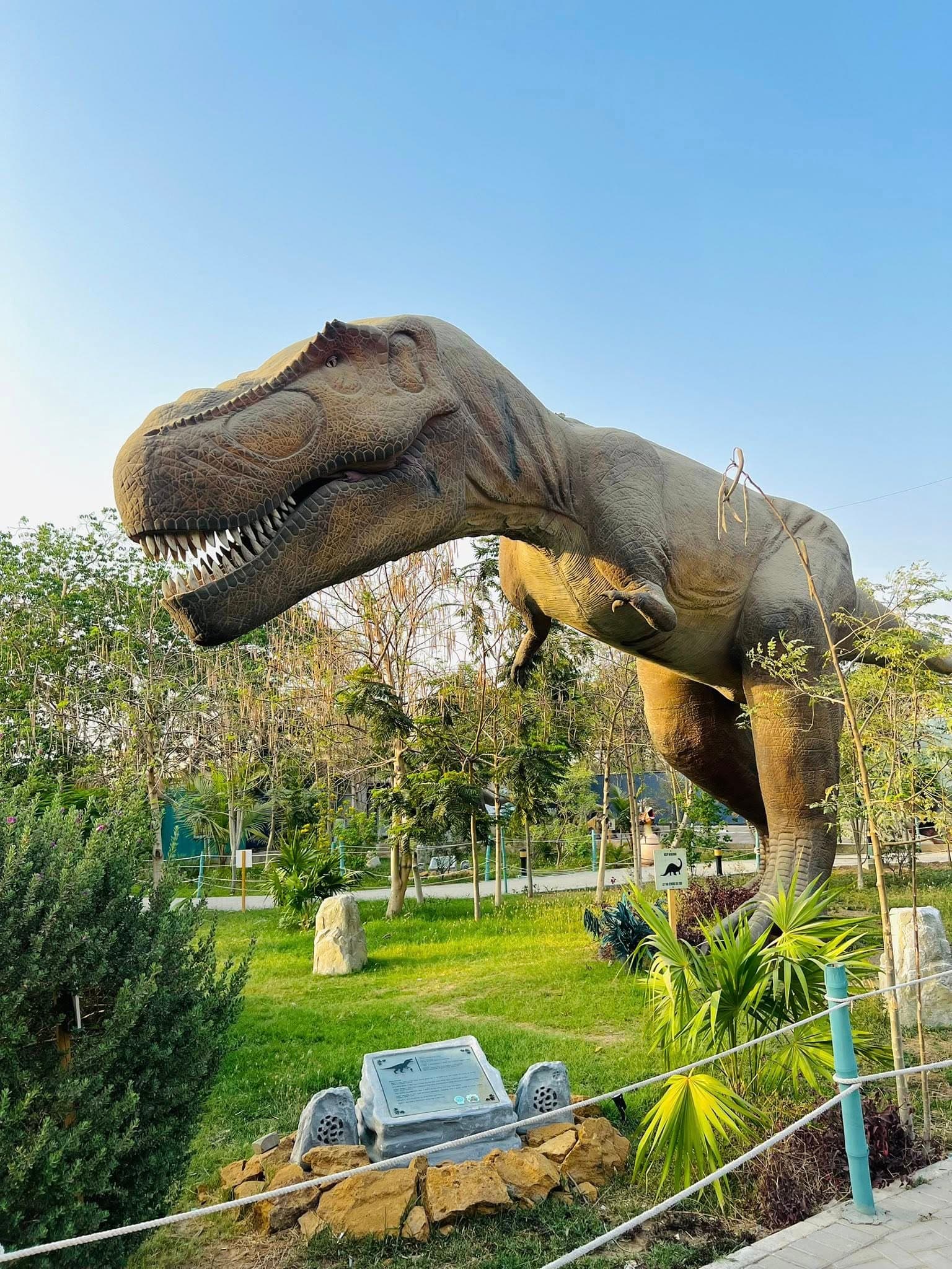 Dino Safari Experience 23