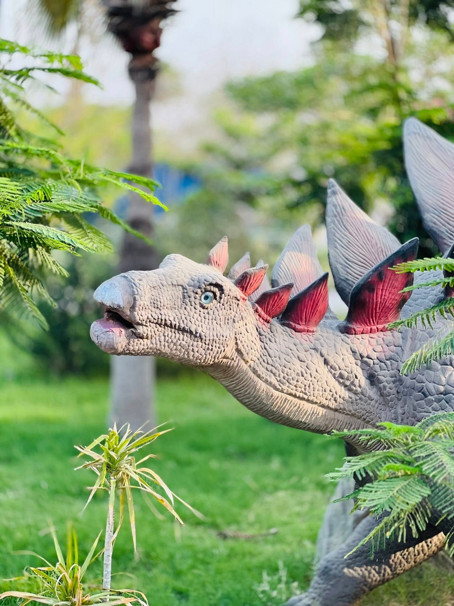 Dino Safari Experience 25