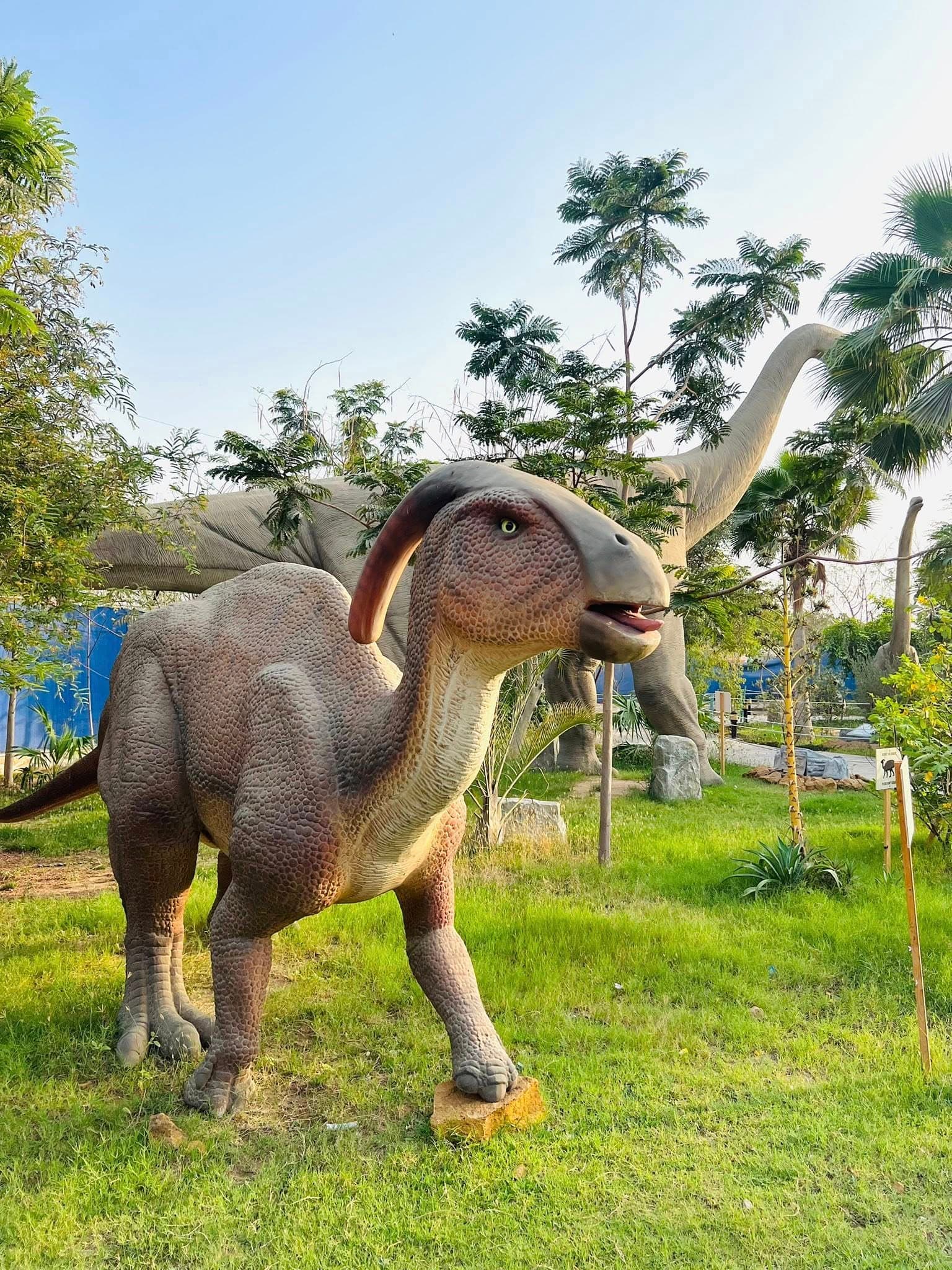 Dino Safari Experience 26