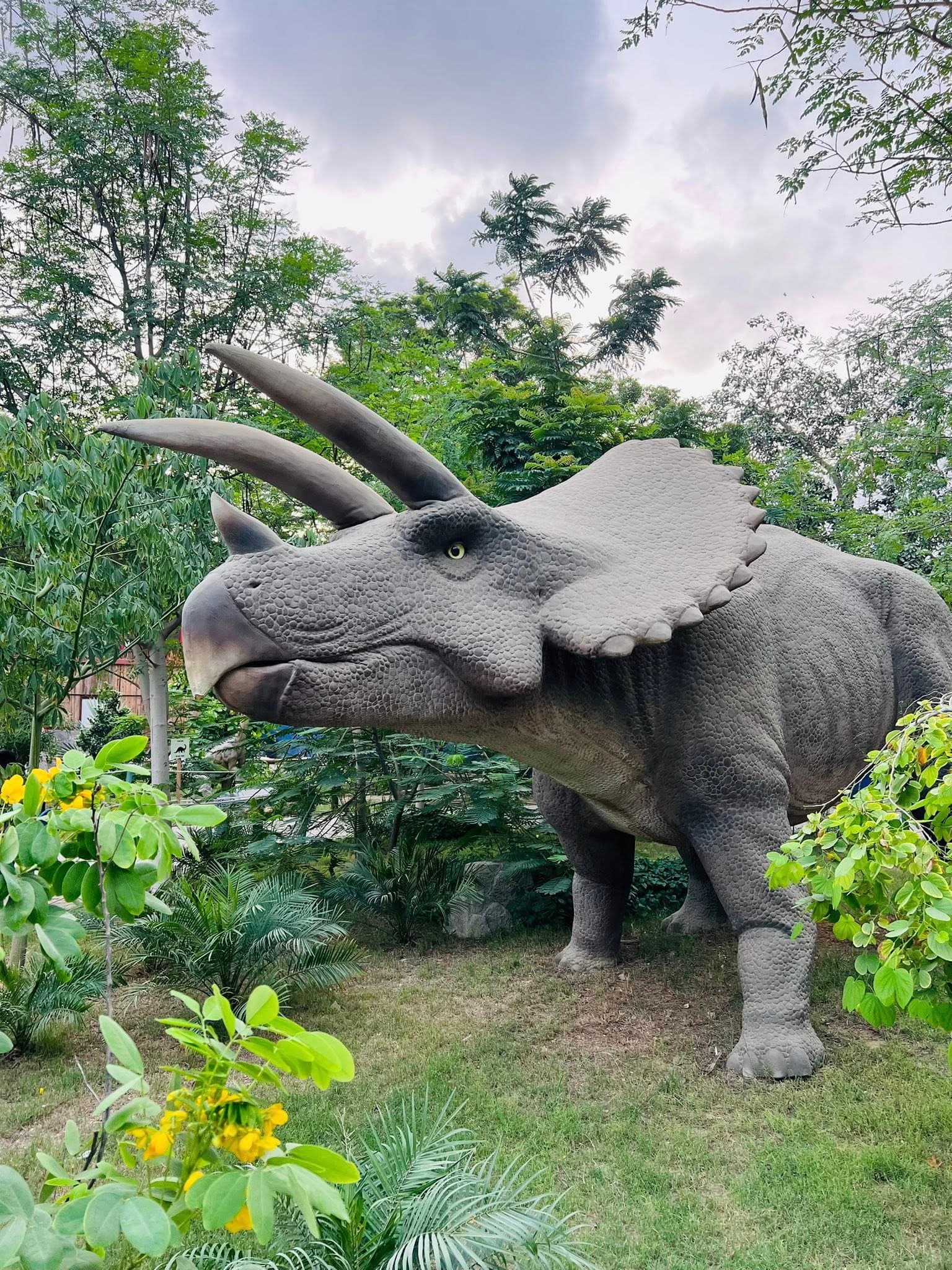 Dino Safari Experience 32