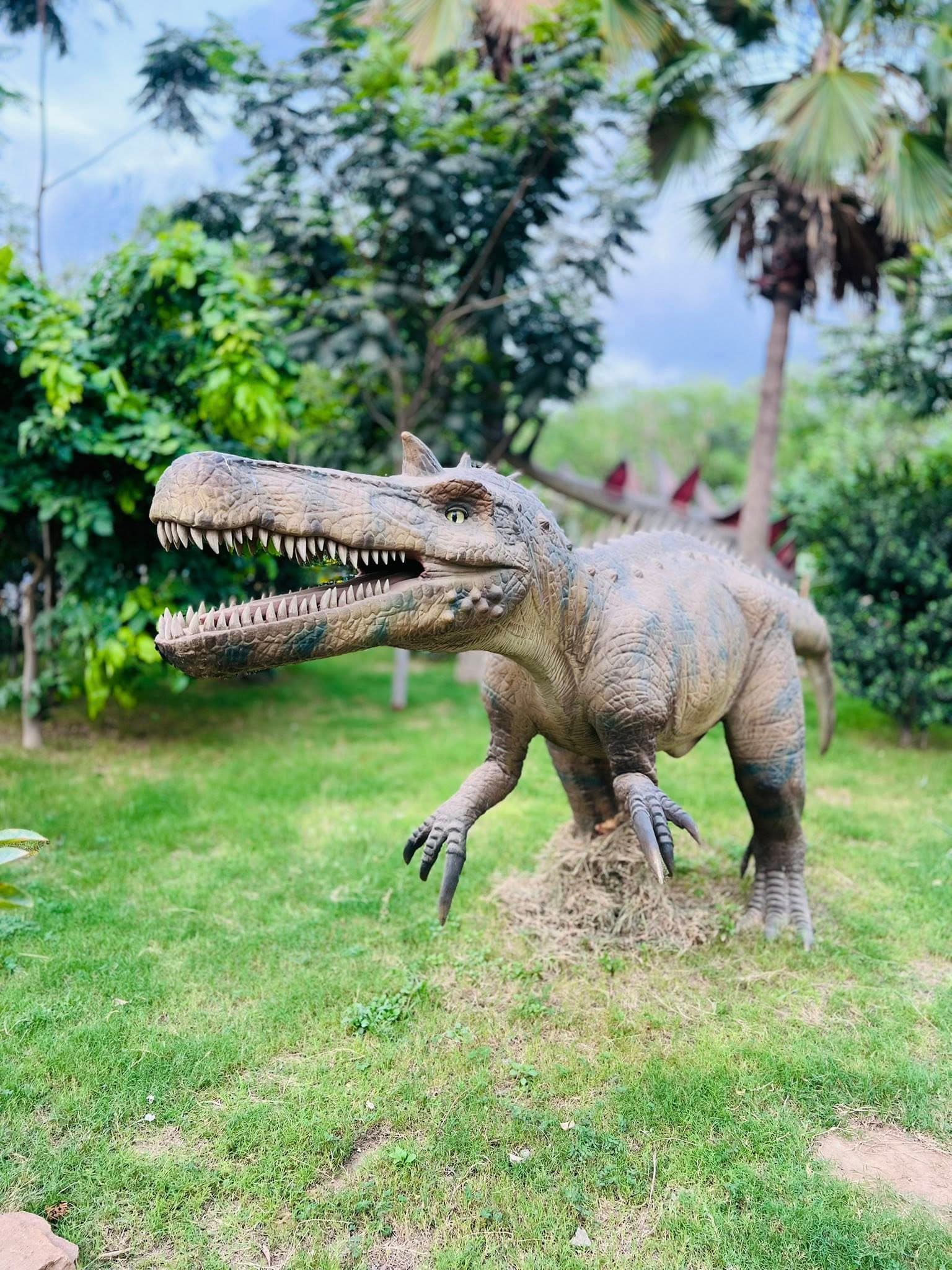 Dino Safari Experience 33