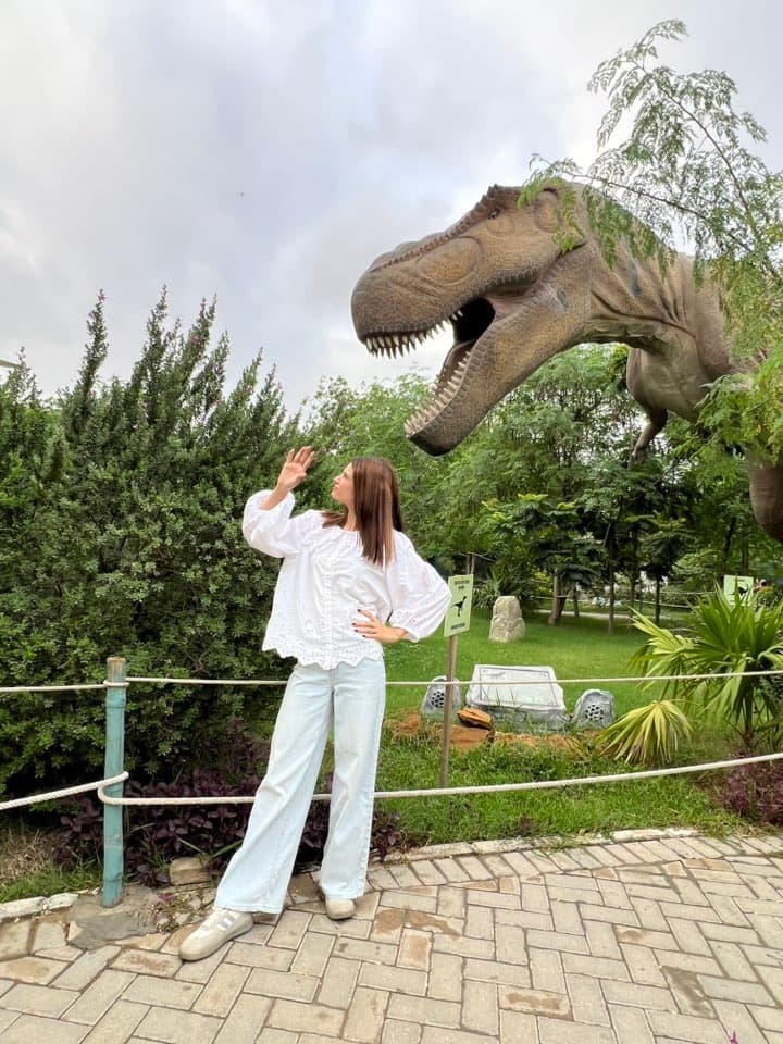 Dino Safari Experience 37