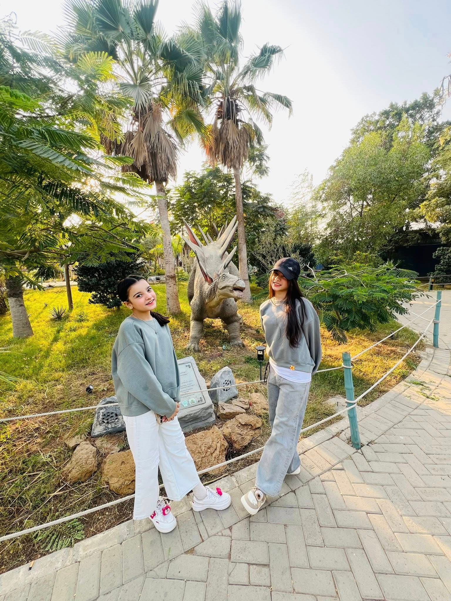 Dino Safari Experience 39