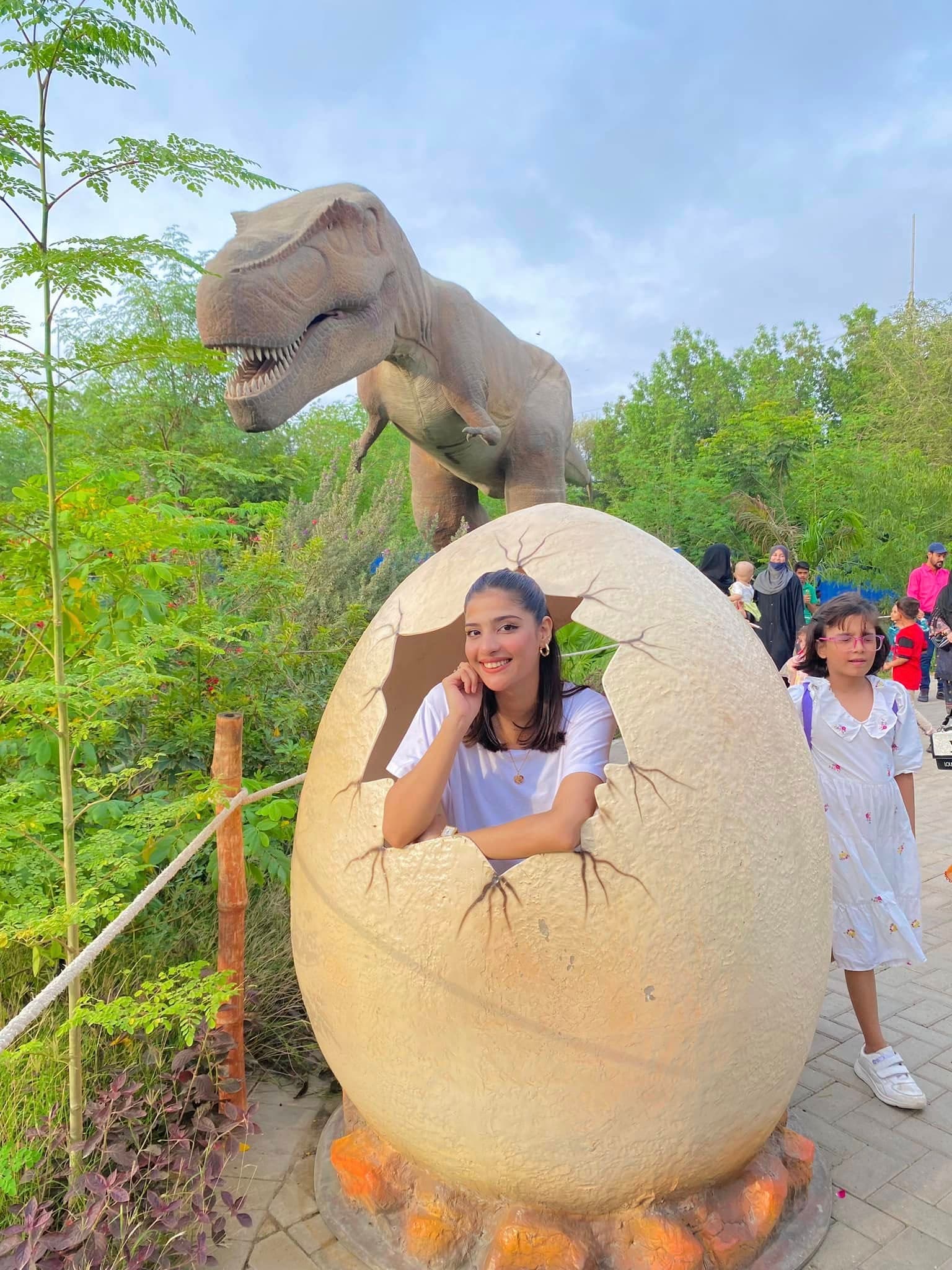 Dino Safari Experience 43