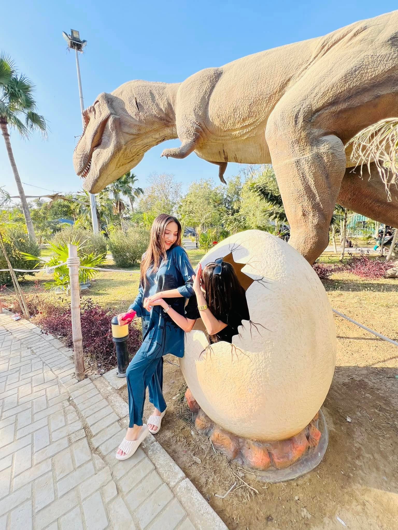 Dino Safari Experience 7