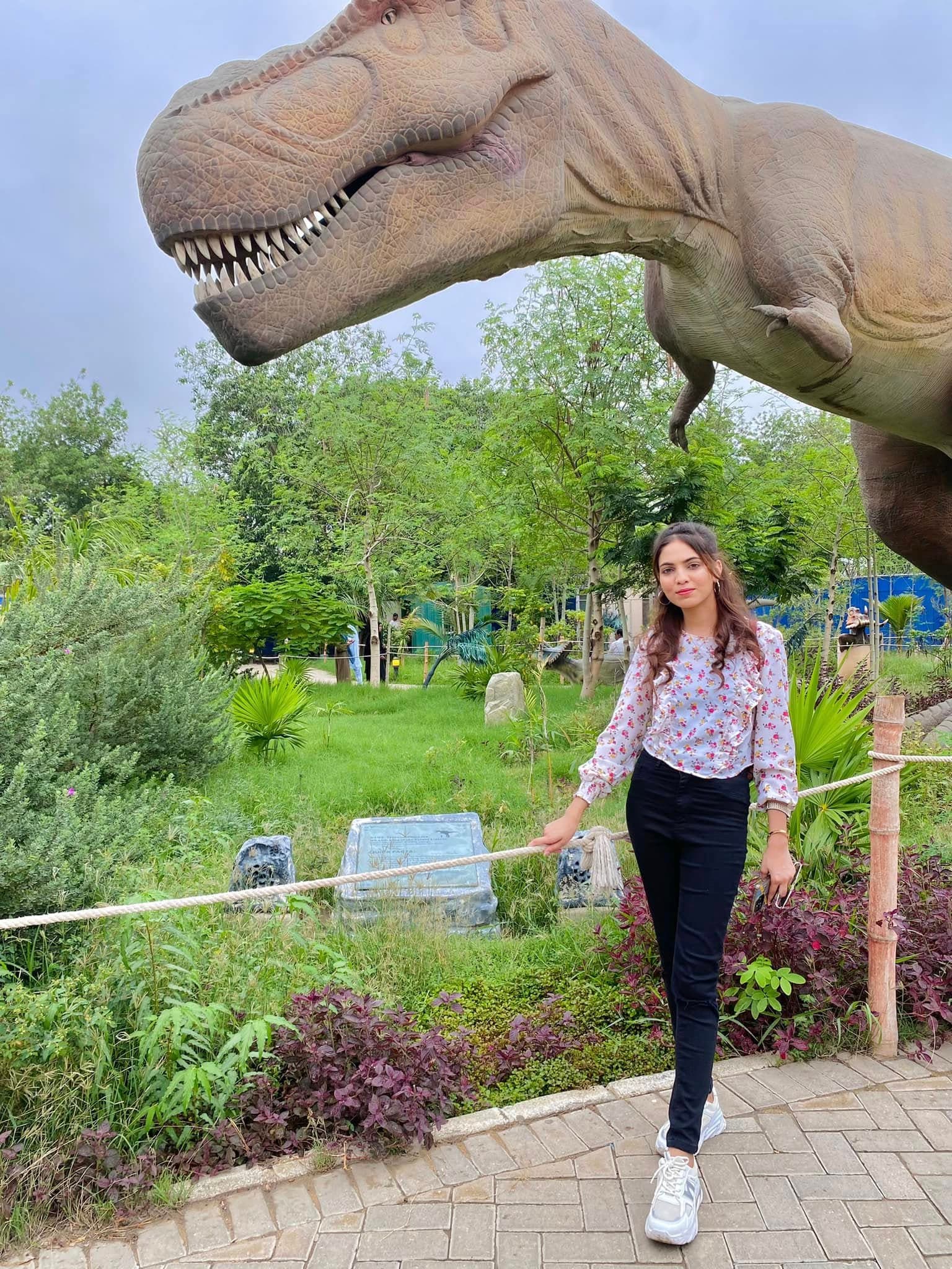 Dino Safari Experience 8