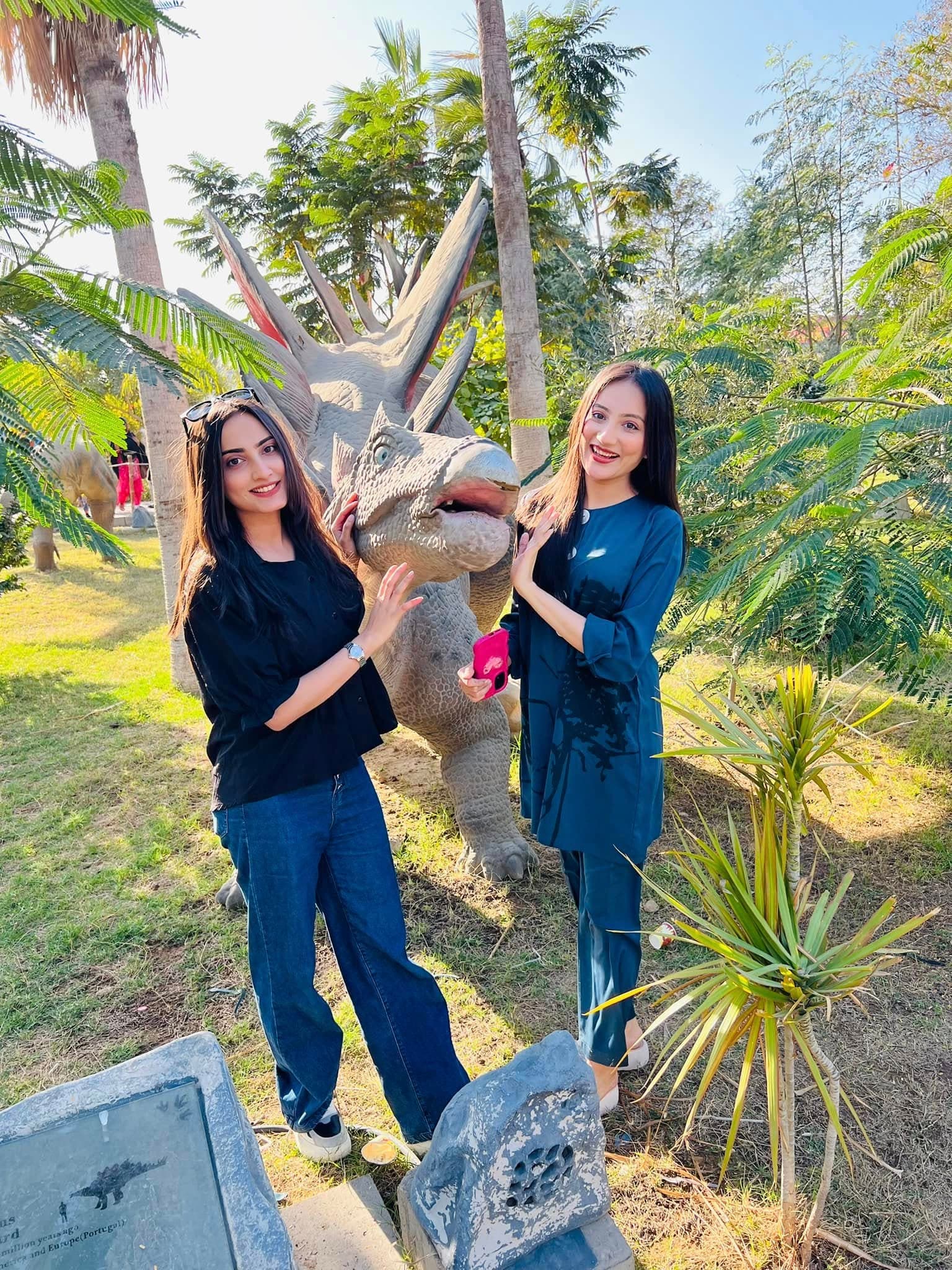 Dino Safari Experience 9